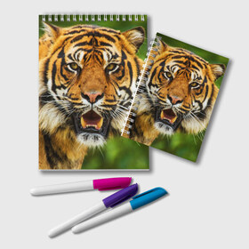 Блокнот с принтом Тигр в Тюмени, 100% бумага | 48 листов, плотность листов — 60 г/м2, плотность картонной обложки — 250 г/м2. Листы скреплены удобной пружинной спиралью. Цвет линий — светло-серый
 | Тематика изображения на принте: дикая кошка | животное | клыки | лев | тигр. tiger | хищник
