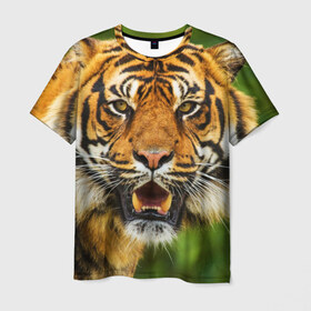 Мужская футболка 3D с принтом Тигр в Тюмени, 100% полиэфир | прямой крой, круглый вырез горловины, длина до линии бедер | Тематика изображения на принте: дикая кошка | животное | клыки | лев | тигр. tiger | хищник