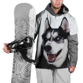 Накидка на куртку 3D с принтом Сибирский хаски в Тюмени, 100% полиэстер |  | взгляд | голубые глаза | зима | сибирь | снег | собака | хаски | хаски бандит | холод