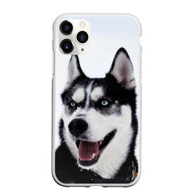 Чехол для iPhone 11 Pro матовый с принтом Сибирский хаски в Тюмени, Силикон |  | взгляд | голубые глаза | зима | сибирь | снег | собака | хаски | хаски бандит | холод