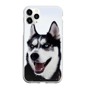 Чехол для iPhone 11 Pro Max матовый с принтом Сибирский хаски в Тюмени, Силикон |  | взгляд | голубые глаза | зима | сибирь | снег | собака | хаски | хаски бандит | холод
