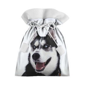 Подарочный 3D мешок с принтом Сибирский хаски в Тюмени, 100% полиэстер | Размер: 29*39 см | взгляд | голубые глаза | зима | сибирь | снег | собака | хаски | хаски бандит | холод