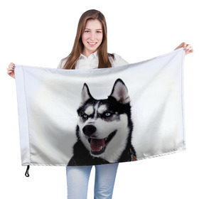 Флаг 3D с принтом Сибирский хаски в Тюмени, 100% полиэстер | плотность ткани — 95 г/м2, размер — 67 х 109 см. Принт наносится с одной стороны | взгляд | голубые глаза | зима | сибирь | снег | собака | хаски | хаски бандит | холод