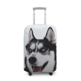 Чехол для чемодана 3D с принтом Сибирский хаски в Тюмени, 86% полиэфир, 14% спандекс | двустороннее нанесение принта, прорези для ручек и колес | взгляд | голубые глаза | зима | сибирь | снег | собака | хаски | хаски бандит | холод