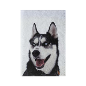 Обложка для паспорта матовая кожа с принтом Сибирский хаски в Тюмени, натуральная матовая кожа | размер 19,3 х 13,7 см; прозрачные пластиковые крепления | взгляд | голубые глаза | зима | сибирь | снег | собака | хаски | хаски бандит | холод