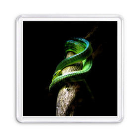 Магнит 55*55 с принтом Змея на груди в Тюмени, Пластик | Размер: 65*65 мм; Размер печати: 55*55 мм | гадюка | дерево | джунгли | зелёный змей | змея | кобра | природа | удав