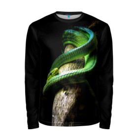 Мужской лонгслив 3D с принтом Змея на груди в Тюмени, 100% полиэстер | длинные рукава, круглый вырез горловины, полуприлегающий силуэт | гадюка | дерево | джунгли | зелёный змей | змея | кобра | природа | удав