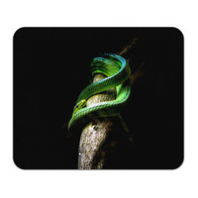 Коврик прямоугольный с принтом Змея на груди в Тюмени, натуральный каучук | размер 230 х 185 мм; запечатка лицевой стороны | гадюка | дерево | джунгли | зелёный змей | змея | кобра | природа | удав