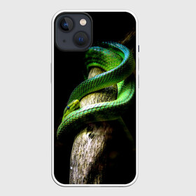 Чехол для iPhone 13 с принтом Змея на груди в Тюмени,  |  | гадюка | дерево | джунгли | зелёный змей | змея | кобра | природа | удав