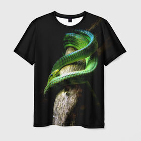 Мужская футболка 3D с принтом Змея на груди в Тюмени, 100% полиэфир | прямой крой, круглый вырез горловины, длина до линии бедер | гадюка | дерево | джунгли | зелёный змей | змея | кобра | природа | удав