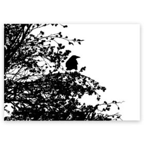 Поздравительная открытка с принтом Ворон в Тюмени, 100% бумага | плотность бумаги 280 г/м2, матовая, на обратной стороне линовка и место для марки
 | ворон | ворона | галка | дерево | птица