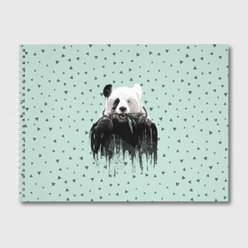 Альбом для рисования с принтом Панда-художник в Тюмени, 100% бумага
 | матовая бумага, плотность 200 мг. | Тематика изображения на принте: animal | art | artist | bear | beast | design | panda | style | арт | дизайн | животное | зверь | кисть | краски | медведь | панда | стиль | художник