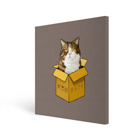 Холст квадратный с принтом Maru в Тюмени, 100% ПВХ |  | cat | maru | коробка | кот в коробке | кот мару | котейка | кошка | мару | прикол