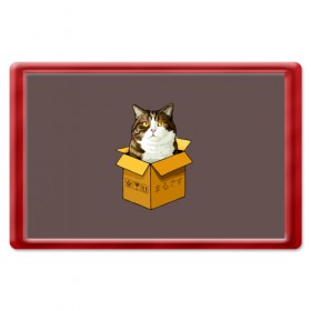 Магнит 45*70 с принтом Maru в Тюмени, Пластик | Размер: 78*52 мм; Размер печати: 70*45 | cat | maru | коробка | кот в коробке | кот мару | котейка | кошка | мару | прикол