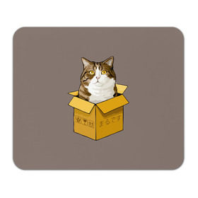 Коврик прямоугольный с принтом Maru в Тюмени, натуральный каучук | размер 230 х 185 мм; запечатка лицевой стороны | cat | maru | коробка | кот в коробке | кот мару | котейка | кошка | мару | прикол