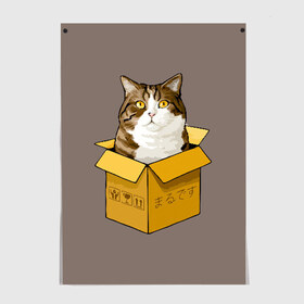 Постер с принтом Maru в Тюмени, 100% бумага
 | бумага, плотность 150 мг. Матовая, но за счет высокого коэффициента гладкости имеет небольшой блеск и дает на свету блики, но в отличии от глянцевой бумаги не покрыта лаком | cat | maru | коробка | кот в коробке | кот мару | котейка | кошка | мару | прикол