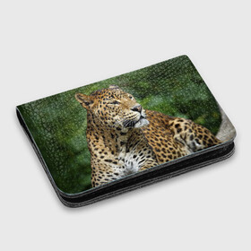 Картхолдер с принтом с принтом Леопард в Тюмени, натуральная матовая кожа | размер 7,3 х 10 см; кардхолдер имеет 4 кармана для карт; | Тематика изображения на принте: 
