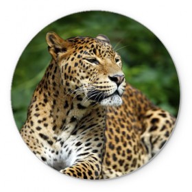 Коврик круглый с принтом Леопард в Тюмени, резина и полиэстер | круглая форма, изображение наносится на всю лицевую часть | 