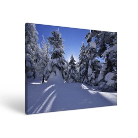 Холст прямоугольный с принтом Зимний лес в Тюмени, 100% ПВХ |  | Тематика изображения на принте: времена года | ель | зима | леса | лучи света | природа | снег