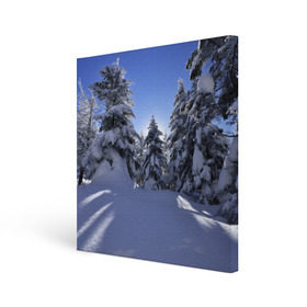 Холст квадратный с принтом Зимний лес в Тюмени, 100% ПВХ |  | Тематика изображения на принте: времена года | ель | зима | леса | лучи света | природа | снег