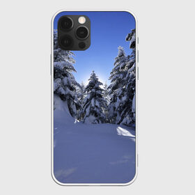 Чехол для iPhone 12 Pro Max с принтом Зимний лес в Тюмени, Силикон |  | Тематика изображения на принте: времена года | ель | зима | леса | лучи света | природа | снег