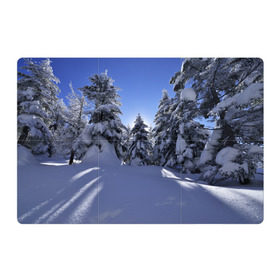 Магнитный плакат 3Х2 с принтом Зимний лес в Тюмени, Полимерный материал с магнитным слоем | 6 деталей размером 9*9 см | Тематика изображения на принте: времена года | ель | зима | леса | лучи света | природа | снег