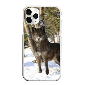 Чехол для iPhone 11 Pro Max матовый с принтом Король леса в Тюмени, Силикон |  | Тематика изображения на принте: волки | животные | зима | зимние | картинки | снег | фото