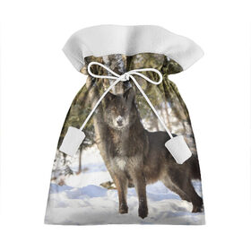 Подарочный 3D мешок с принтом Король леса в Тюмени, 100% полиэстер | Размер: 29*39 см | Тематика изображения на принте: волки | животные | зима | зимние | картинки | снег | фото
