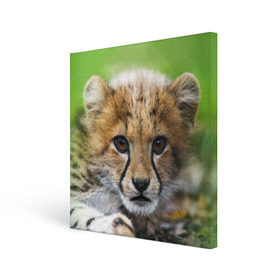 Холст квадратный с принтом Котёнок гепарда в Тюмени, 100% ПВХ |  | гепард | дикая кошка | котёнок | кошка | лев | природа | тигр | хищник | ягуар