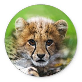 Коврик круглый с принтом Котёнок гепарда в Тюмени, резина и полиэстер | круглая форма, изображение наносится на всю лицевую часть | гепард | дикая кошка | котёнок | кошка | лев | природа | тигр | хищник | ягуар