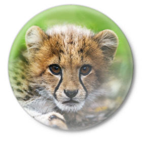 Значок с принтом Котёнок гепарда в Тюмени,  металл | круглая форма, металлическая застежка в виде булавки | гепард | дикая кошка | котёнок | кошка | лев | природа | тигр | хищник | ягуар