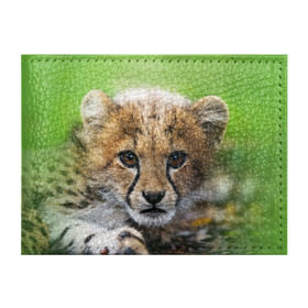 Обложка для студенческого билета с принтом Котёнок гепарда в Тюмени, натуральная кожа | Размер: 11*8 см; Печать на всей внешней стороне | гепард | дикая кошка | котёнок | кошка | лев | природа | тигр | хищник | ягуар