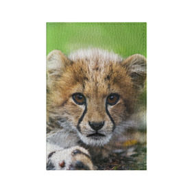 Обложка для паспорта матовая кожа с принтом Котёнок гепарда в Тюмени, натуральная матовая кожа | размер 19,3 х 13,7 см; прозрачные пластиковые крепления | Тематика изображения на принте: гепард | дикая кошка | котёнок | кошка | лев | природа | тигр | хищник | ягуар