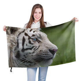 Флаг 3D с принтом Белый тигр в Тюмени, 100% полиэстер | плотность ткани — 95 г/м2, размер — 67 х 109 см. Принт наносится с одной стороны | абессинкая | домашние | животные | кот | котенок | кошка | порода | сиамская | тигр | хищник