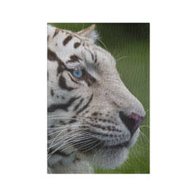 Обложка для паспорта матовая кожа с принтом Белый тигр в Тюмени, натуральная матовая кожа | размер 19,3 х 13,7 см; прозрачные пластиковые крепления | абессинкая | домашние | животные | кот | котенок | кошка | порода | сиамская | тигр | хищник