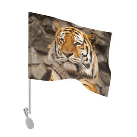 Флаг для автомобиля с принтом Тигр в Тюмени, 100% полиэстер | Размер: 30*21 см | Тематика изображения на принте: амурский | животные | киса | кот | котенок | кошка | пума | рысь | серый | тигр | хищник