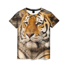 Женская футболка 3D с принтом Тигр в Тюмени, 100% полиэфир ( синтетическое хлопкоподобное полотно) | прямой крой, круглый вырез горловины, длина до линии бедер | Тематика изображения на принте: амурский | животные | киса | кот | котенок | кошка | пума | рысь | серый | тигр | хищник