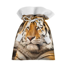 Подарочный 3D мешок с принтом Тигр в Тюмени, 100% полиэстер | Размер: 29*39 см | амурский | животные | киса | кот | котенок | кошка | пума | рысь | серый | тигр | хищник