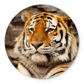 Коврик круглый с принтом Тигр в Тюмени, резина и полиэстер | круглая форма, изображение наносится на всю лицевую часть | амурский | животные | киса | кот | котенок | кошка | пума | рысь | серый | тигр | хищник