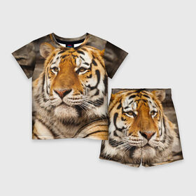 Детский костюм с шортами 3D с принтом Тигр в Тюмени,  |  | Тематика изображения на принте: амурский | животные | киса | кот | котенок | кошка | пума | рысь | серый | тигр | хищник