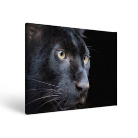 Холст прямоугольный с принтом Черная пантера в Тюмени, 100% ПВХ |  | животные | кис | киска | кот | котенок | котик | кошечка | кошка | пантера | рысь | тигр | хищник