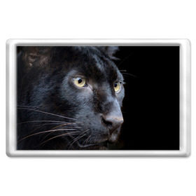 Магнит 45*70 с принтом Черная пантера в Тюмени, Пластик | Размер: 78*52 мм; Размер печати: 70*45 | Тематика изображения на принте: животные | кис | киска | кот | котенок | котик | кошечка | кошка | пантера | рысь | тигр | хищник
