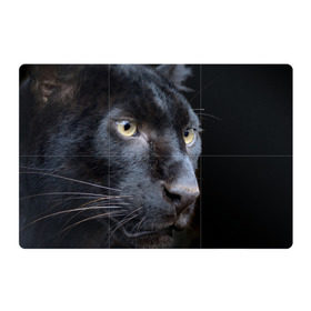 Магнитный плакат 3Х2 с принтом Черная пантера в Тюмени, Полимерный материал с магнитным слоем | 6 деталей размером 9*9 см | животные | кис | киска | кот | котенок | котик | кошечка | кошка | пантера | рысь | тигр | хищник