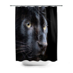 Штора 3D для ванной с принтом Черная пантера в Тюмени, 100% полиэстер | плотность материала — 100 г/м2. Стандартный размер — 146 см х 180 см. По верхнему краю — пластиковые люверсы для креплений. В комплекте 10 пластиковых колец | животные | кис | киска | кот | котенок | котик | кошечка | кошка | пантера | рысь | тигр | хищник