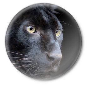 Значок с принтом Черная пантера в Тюмени,  металл | круглая форма, металлическая застежка в виде булавки | животные | кис | киска | кот | котенок | котик | кошечка | кошка | пантера | рысь | тигр | хищник