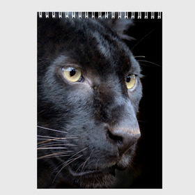 Скетчбук с принтом Черная пантера в Тюмени, 100% бумага
 | 48 листов, плотность листов — 100 г/м2, плотность картонной обложки — 250 г/м2. Листы скреплены сверху удобной пружинной спиралью | животные | кис | киска | кот | котенок | котик | кошечка | кошка | пантера | рысь | тигр | хищник