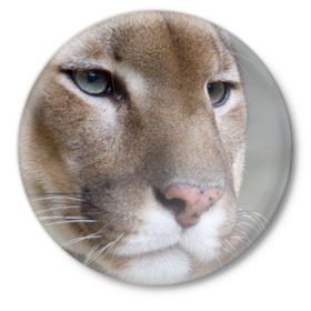 Значок с принтом Пума в Тюмени,  металл | круглая форма, металлическая застежка в виде булавки | животные | кис | киска | кот | котенок | котик | кошечка | кошка | львиц | пантера | пума | рысь | хищник