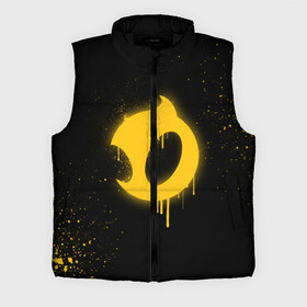 Мужской жилет утепленный 3D с принтом cs:go  Dignitas (Black collection) в Тюмени,  |  | Тематика изображения на принте: cs | csgo | dignitas | го | дигнитас | кс