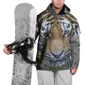 Накидка на куртку 3D с принтом Тигр в Тюмени, 100% полиэстер |  | животные | кошка | лев | тигр | тигренок | тигрица | хищник