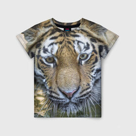 Детская футболка 3D с принтом Тигр в Тюмени, 100% гипоаллергенный полиэфир | прямой крой, круглый вырез горловины, длина до линии бедер, чуть спущенное плечо, ткань немного тянется | животные | кошка | лев | тигр | тигренок | тигрица | хищник